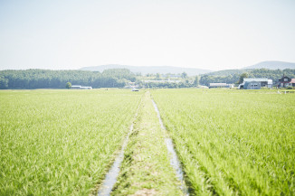 地域ブランディングは