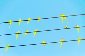 【連載コラム】企業にとっての必修科目・アートvol.01 パナソニックによる、日本人写真家のための国際的プロジェクト！