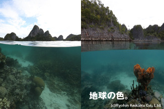 無印良品に学ぶ企業「らしさ」、一目で「MUJI」が伝わる理由！